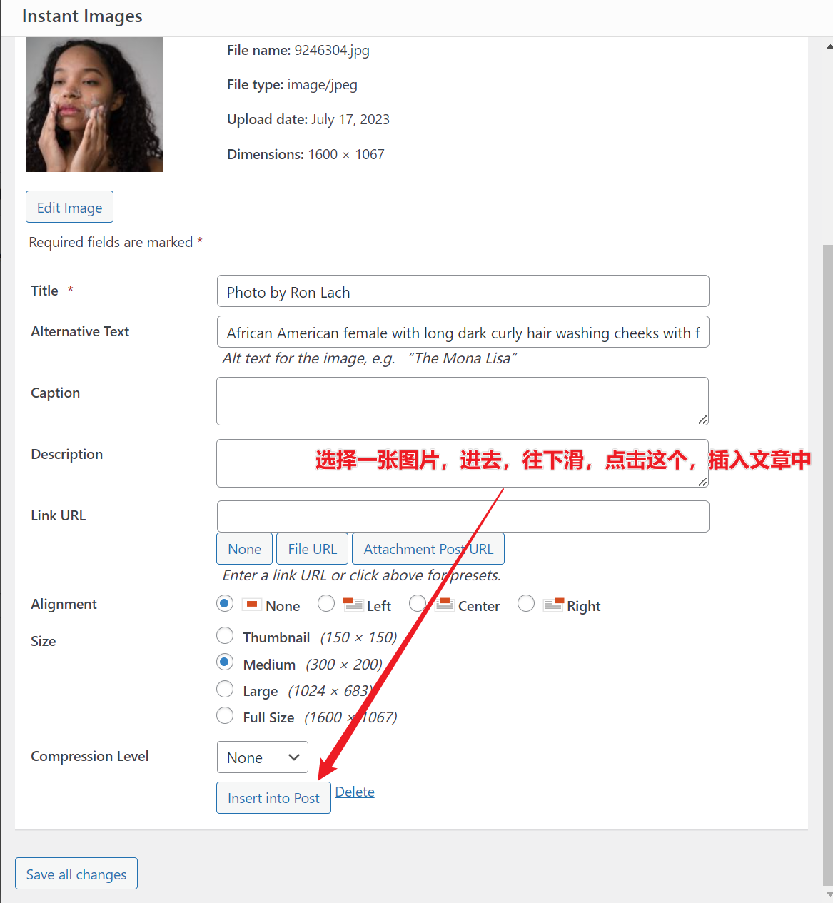 image-20230718030959030