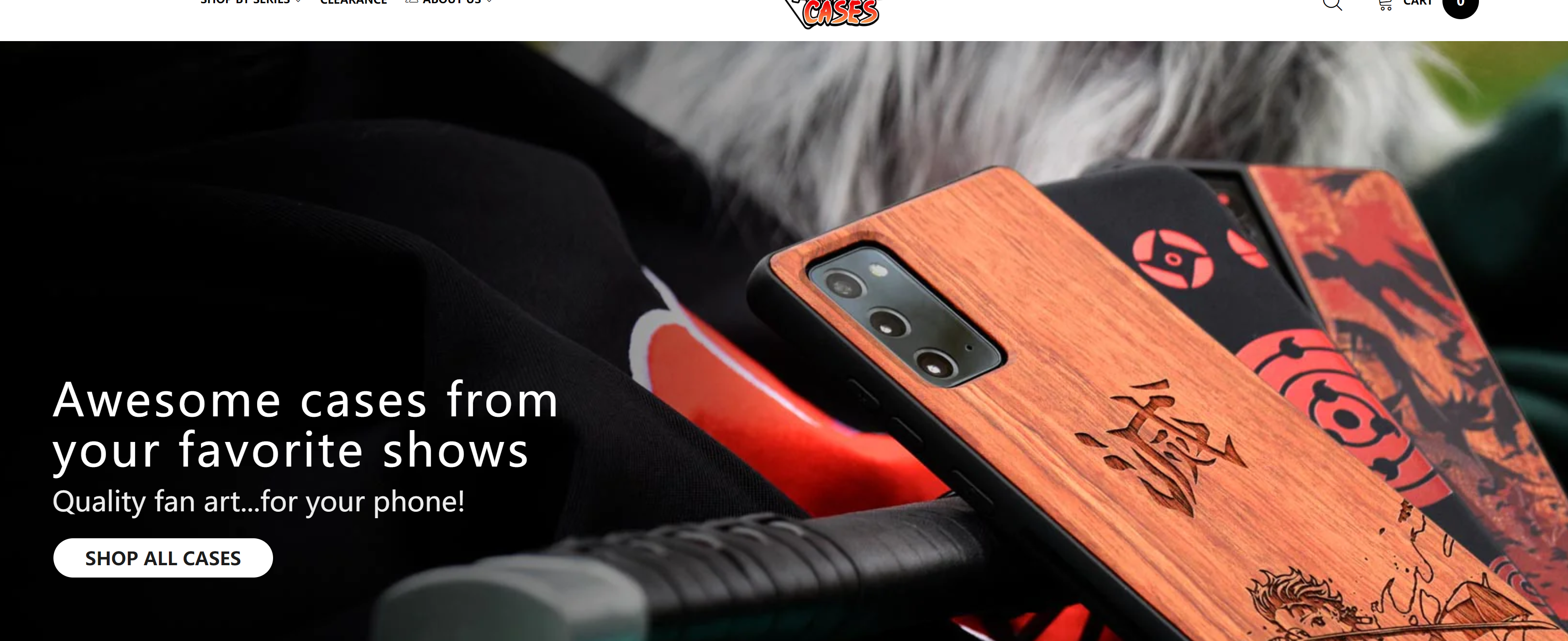 青云出海,专注跨境电商独立站!