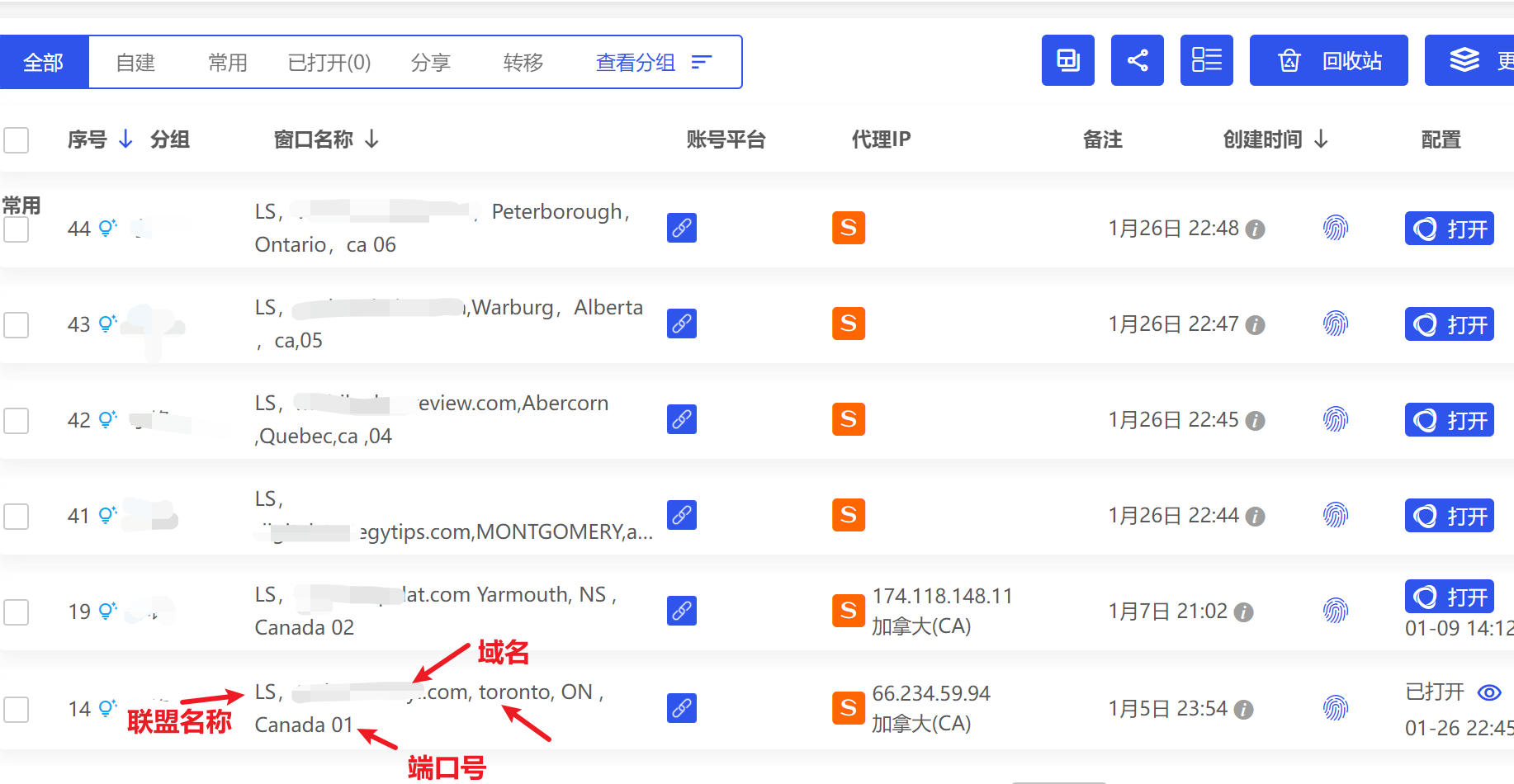 image-20240126233845927