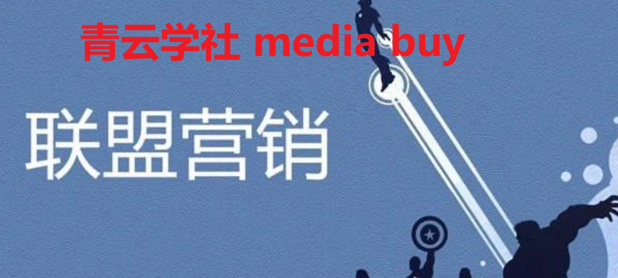 为什么sas联盟不适合media buy跑 bb, imp联盟和 LS联盟就十分适合 跑 Brand Bidding