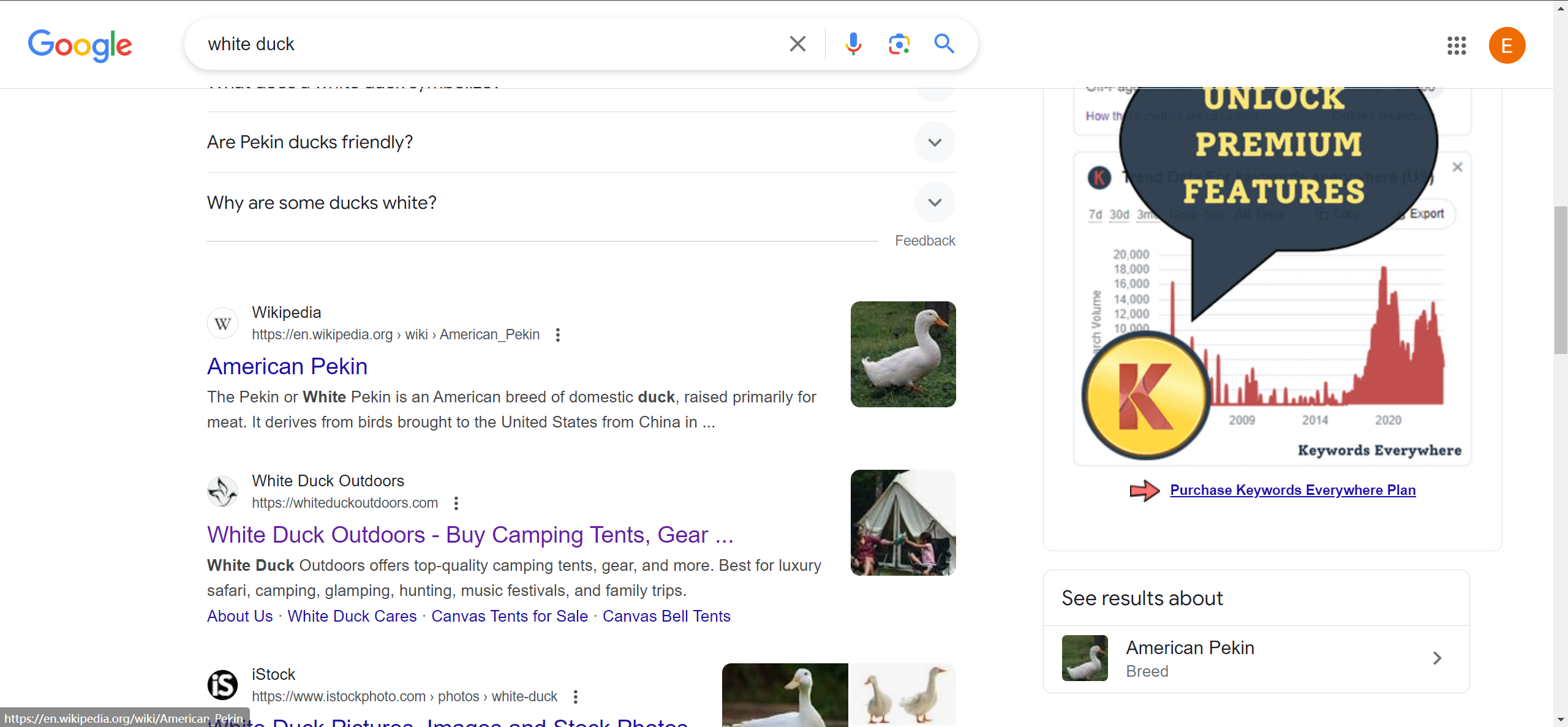 image-20240626234820975