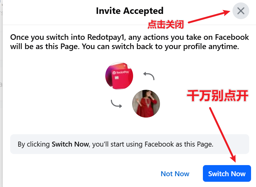 image-20250105151400070