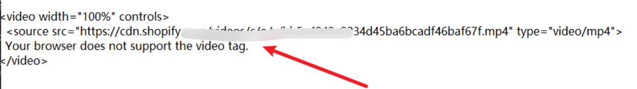 image-20250218234133283